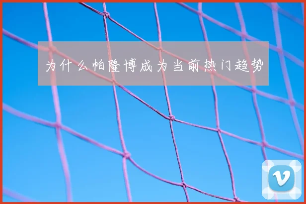为什么帕隆博成为当前热门趋势