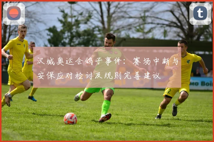 汉城奥运会鸽子事件：赛场中断与安保应对检讨及规则完善建议