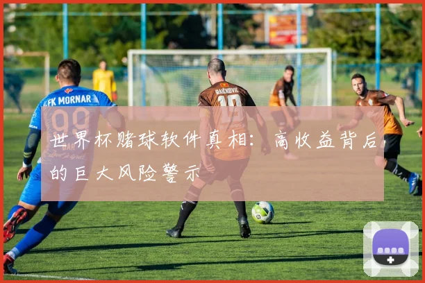 世界杯赌球软件真相：高收益背后的巨大风险警示