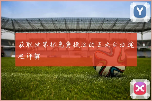 获取世界杯免费投注的五大合法途径详解