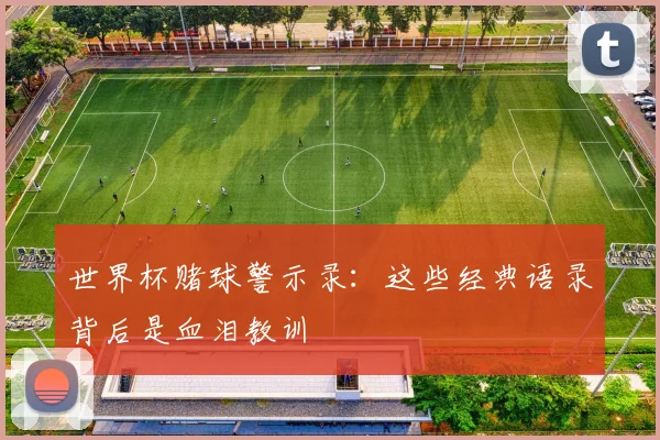 世界杯赌球警示录：这些经典语录背后是血泪教训