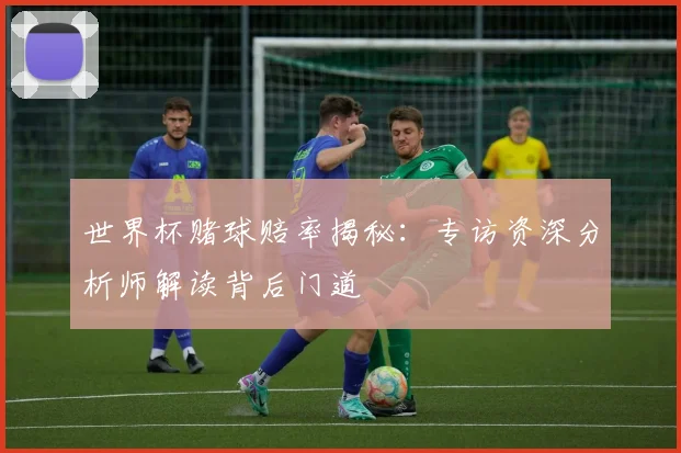 世界杯赌球赔率揭秘：专访资深分析师解读背后门道