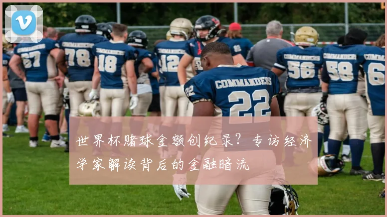 世界杯赌球金额创纪录？专访经济学家解读背后的金融暗流